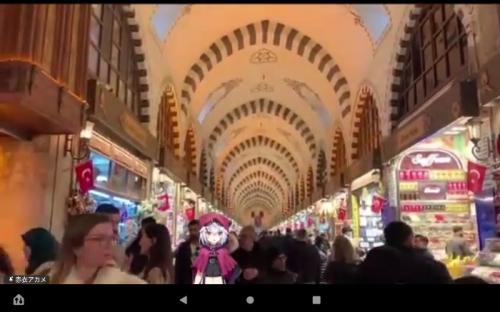 栄養士Vtuberと見たイスタンブール