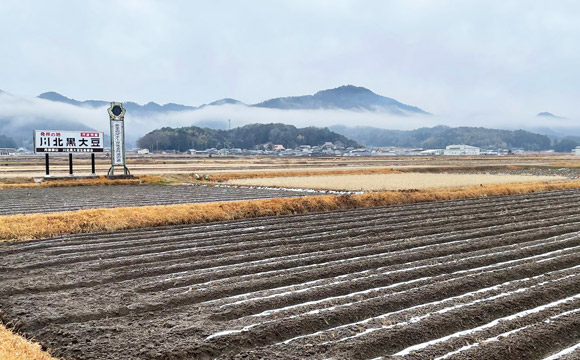 A.丹波篠山【手前味噌】キット［できあがり約2kg］