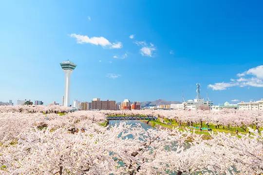 北海道旅行