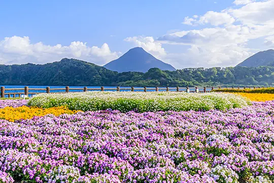 九州旅行