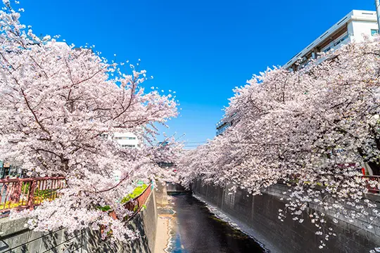 関東旅行