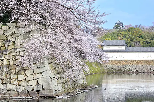 関西旅行