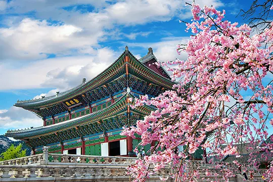 韓国（ソウル）旅行