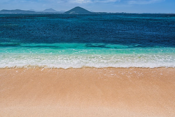 牛島（ウド）