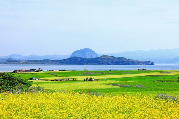 加波島（カパド）