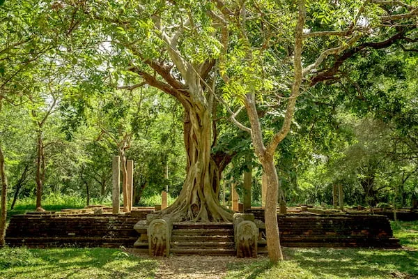 アヌラーダプラ遺跡