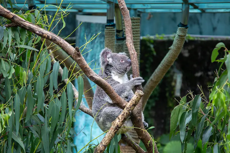 人気動物園もある