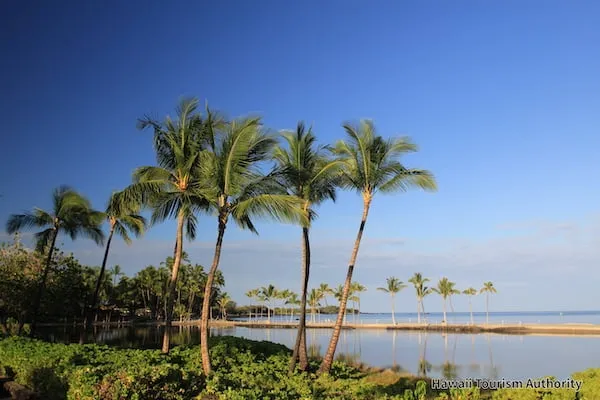 クウアリ・フィッシュポンド