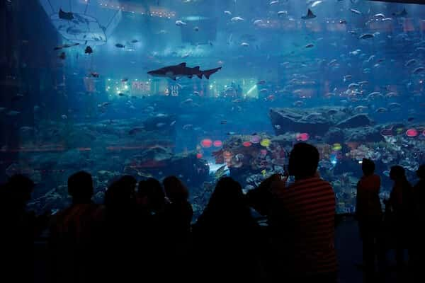 ドバイ水族館