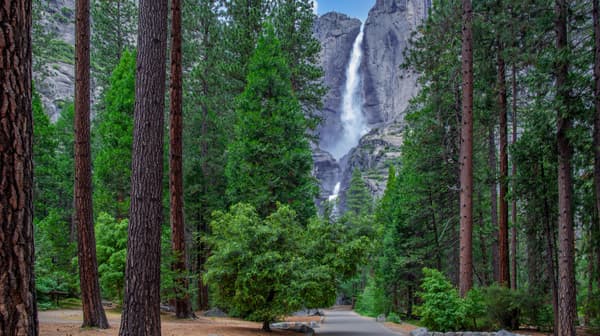 ヨセミテ国立公園