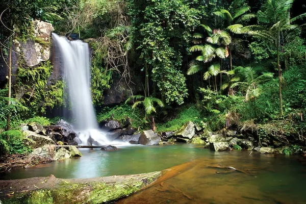 ヒンターランド