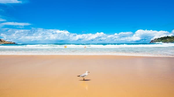 ボンダイビーチ