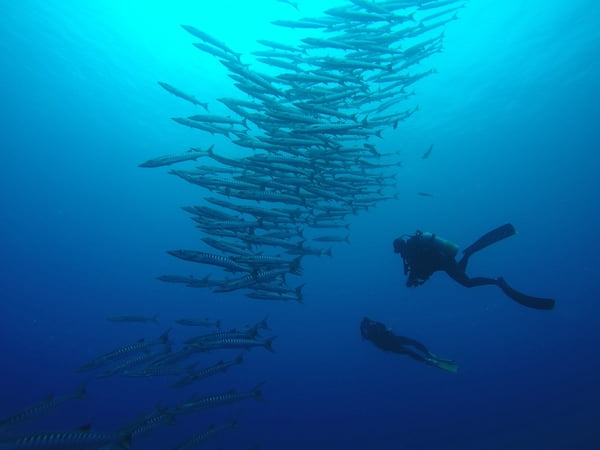 ブルーコーナー