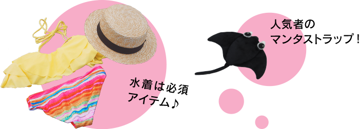 (イメージ)マンタストラップ