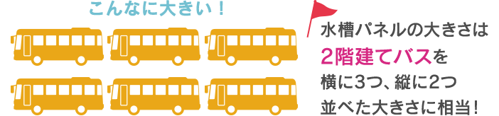 水槽パネルの大きさは2階建てバスを横に3つ、縦に2つ並べた大きさに相当!