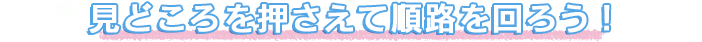 見どころを押さえて順路を回ろう!