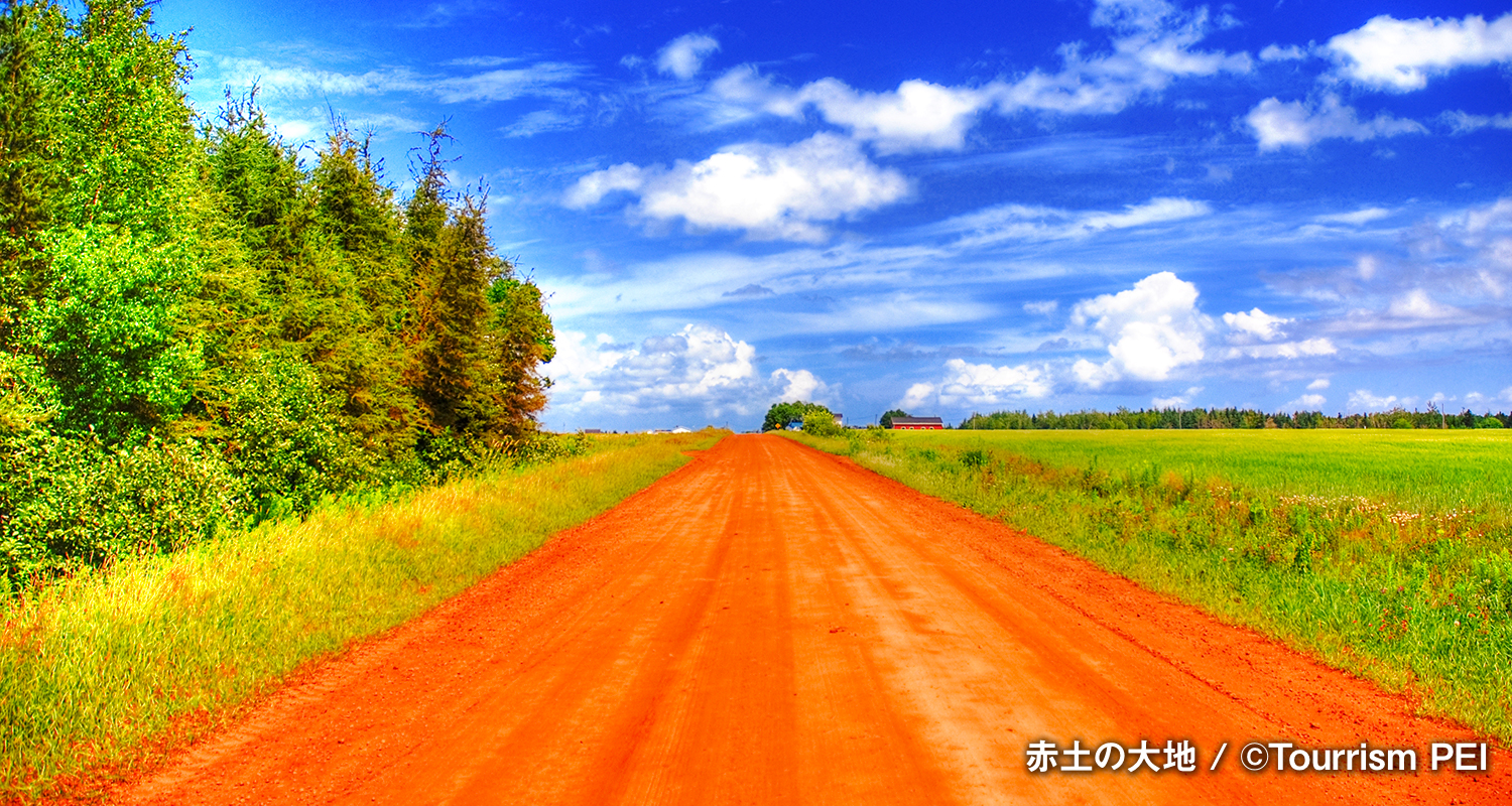 赤土の大地