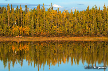 ボートクルーズ