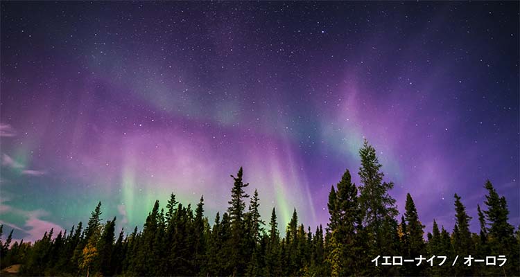 イエローナイフ / オーロラ
