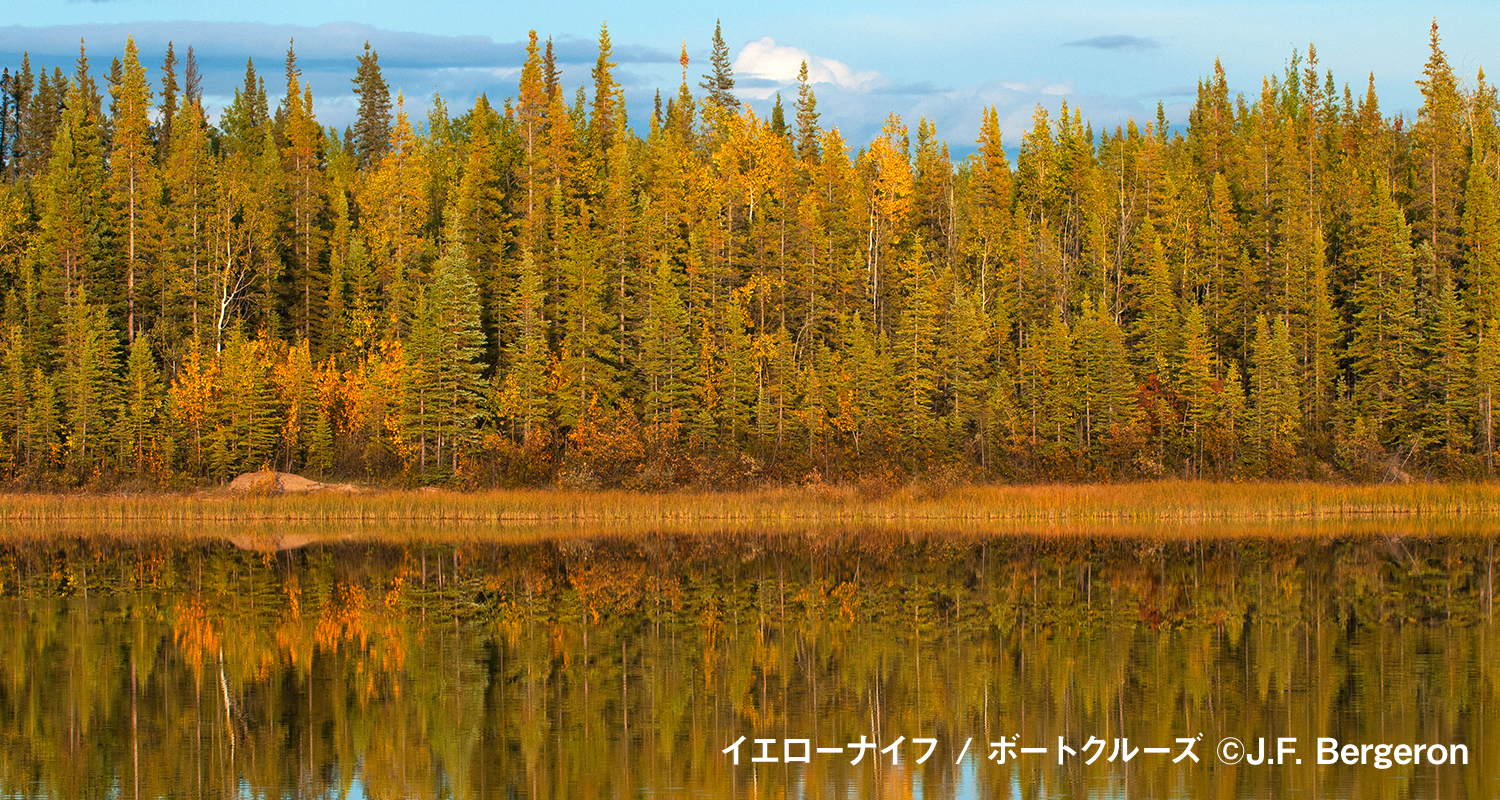 イエローナイフ / ボートクルーズ (C)J.F. Bergeron