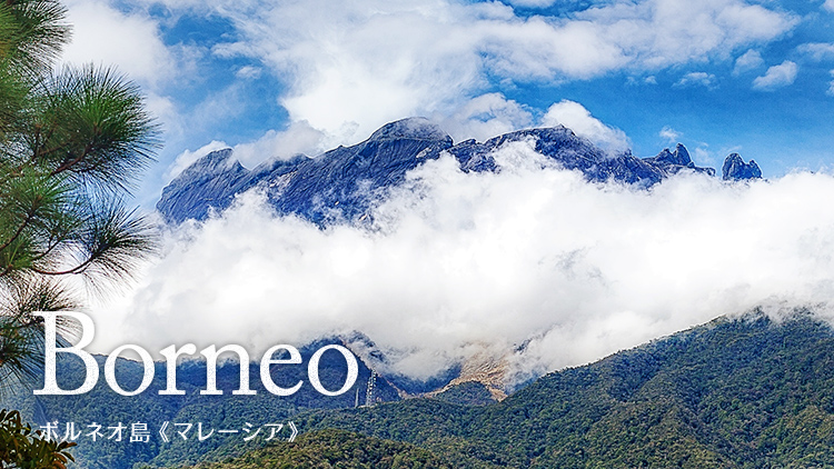 Borneo ボルネオ島(マレーシア)