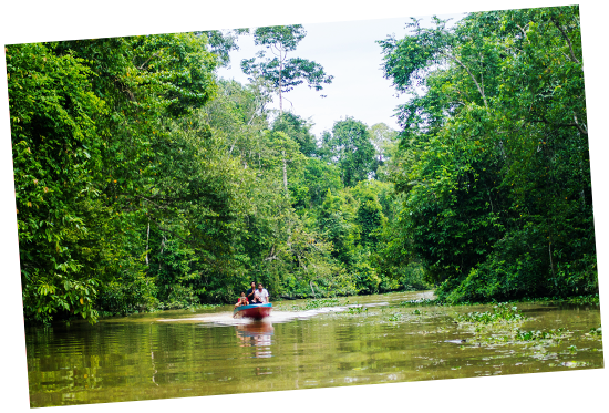 ジャングルクルーズ(イメージ)