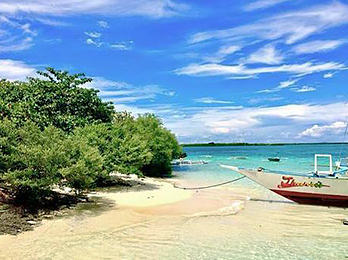 アイランドピクニック(イメージ)