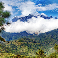ボルネオ島(イメージ)
