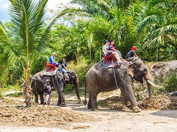 象乗り体験(イメージ)