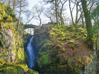 Aira Forth(アイラ・フォース)