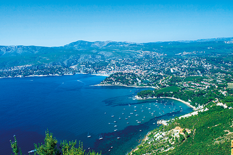 カシのカランク