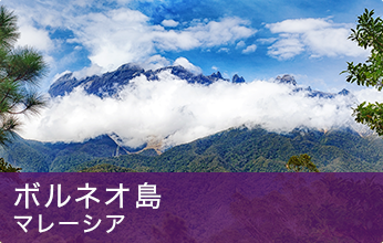 ボルネオ島
