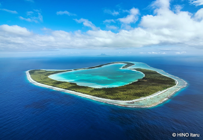 ツパイ島(イメージ)