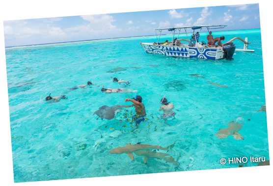 シュノーケリング(イメージ)