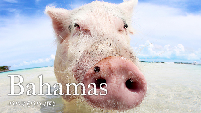 Bahamas バハマ(バハマ国)
