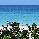 バラデロ(イメージ)