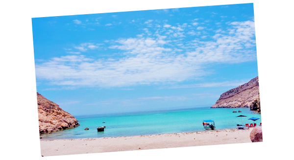 エスピリトゥ・サント島(イメージ)