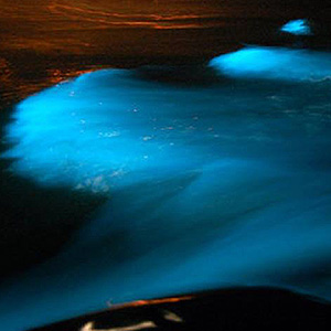 ルミナスラグーン（イメージ）