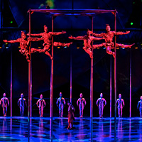 ショー　イメージ