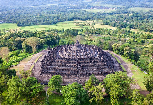 ジャングルにそびえるピラミッド寺院