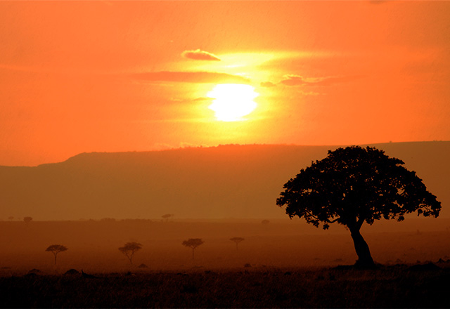 サバンナに沈む夕日の絶景