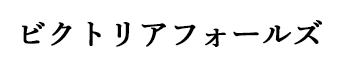 ビクトリアフォールズ