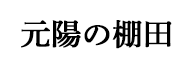 元陽の棚田