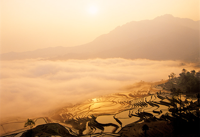 1200年かけて作られた絶景