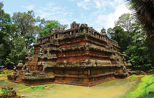 写真:ピミアナカス