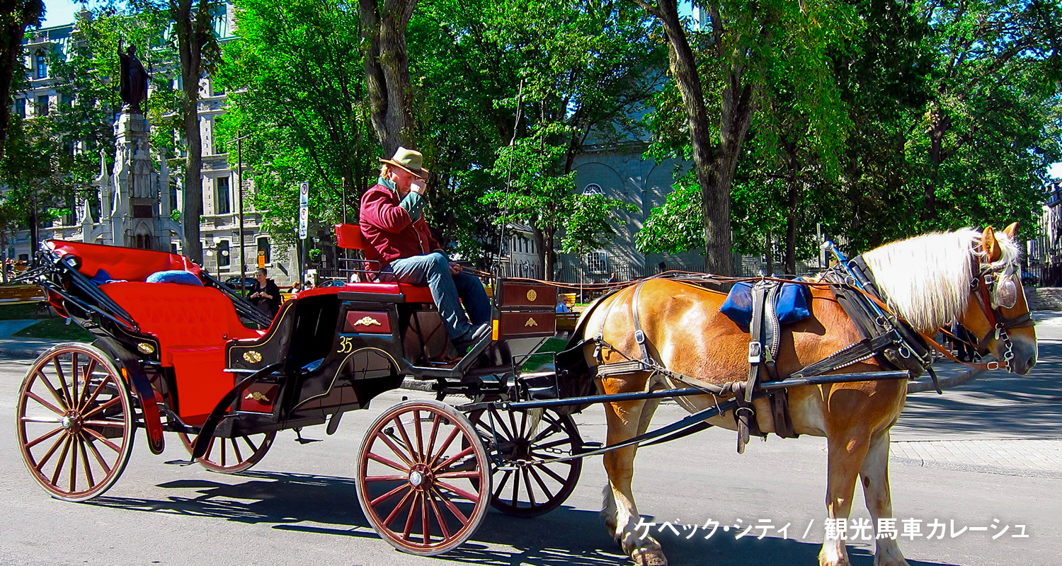 観光馬車カレーシュ