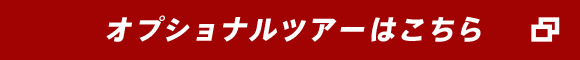 オプショナルツアーを見る