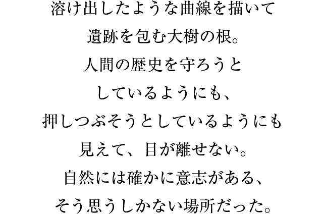 溶け出したような曲線を描いて遺跡を包む大樹の根。人間の歴史を守ろうとしているようにも、押しつぶそうとしているようにも見えて、目が離せない。自然には確かに意志がある、そう思うしかない場所だった。