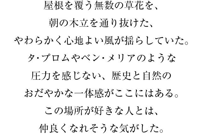 屋根を覆う無数の草花を、朝の木立を通り抜けた、やわらかく心地よい風が揺らしていた。タ・プロムやベン・メリアのような圧力を感じない、歴史と自然のおだやかな一体感がここにはある。この場所が好きな人とは、仲良くなれそうな気がした。