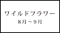 ワイルドフラワー 8～9月